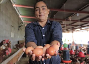 Beneficios del huevo