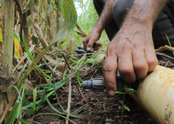 Beneficios del riego por goteo