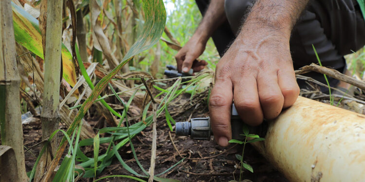 Beneficios del riego por goteo