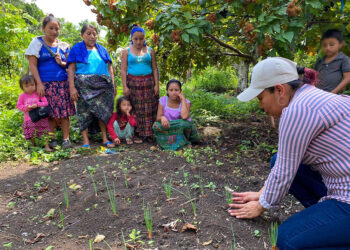 Brindan asistencia técnica en huertos familiares