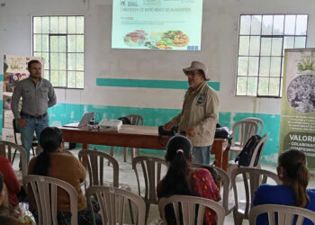 Buenas Prácticas fortalecen conocimientos de productoras y productores de Alta Verapaz