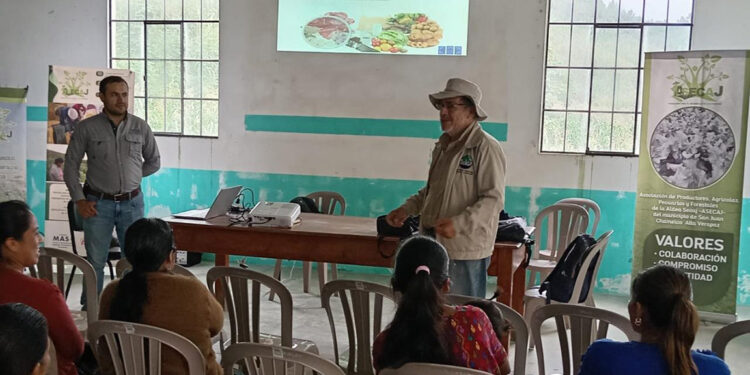 Buenas Prácticas fortalecen conocimientos de productoras y productores de Alta Verapaz