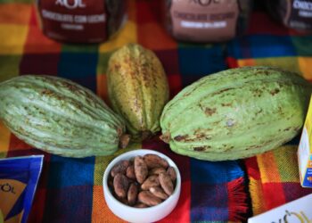 Cacao