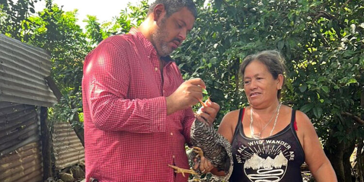 Campaña de vacunación de aves de traspatio en la Libertad, Petén