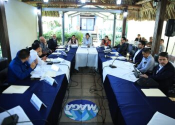 Comisión de Agricultura de CONADUR define plan de trabajo