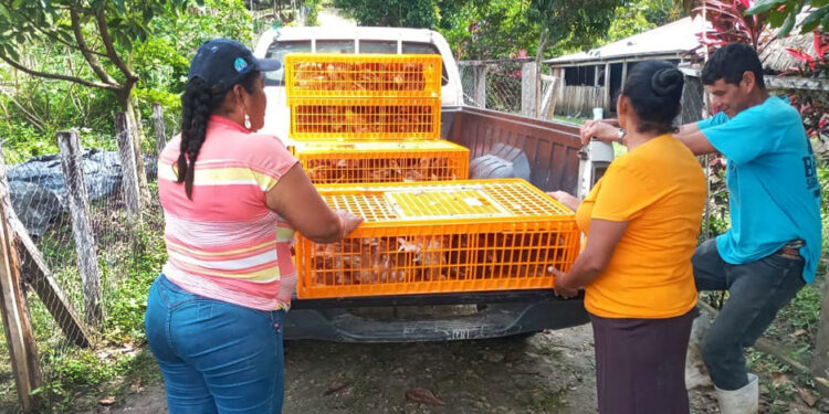 Comunidad de San José Las Flores recibe granja avícola