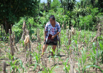 Conozca en qué consiste un seguro paramétrico