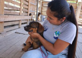 Su bienestar, nuestra prioridad: Conozca las funciones principales de la Unidad de Bienestar Animal