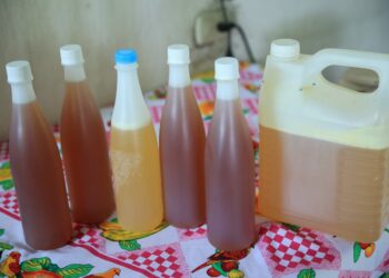 Conozca por qué la miel es beneficiosa para la salud