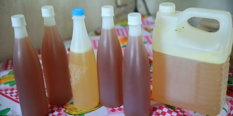 Conozca por qué la miel es beneficiosa para la salud