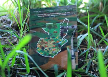 Conozca qué es un mapa de cobertura vegetal