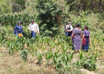 Conozca que son los CADER