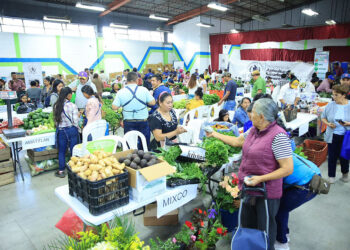 Consumidores acuden a Feria del Agricultor en Mixco