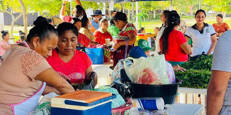 El Chal recibe a 27 productores locales en la Feria del Agricultor