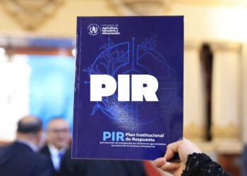 El Plan Institucional de Respuesta