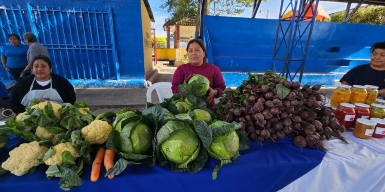 El Tejar realiza Feria del Agricultor en apoyo a productores locales