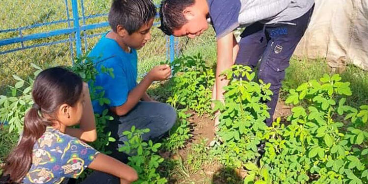 Supervisan recolecta de primera cosecha de huerto escolar en aldea Esquipulas Nica