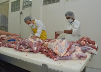 El consumo de carne es seguro, gusano barrenador no representa riesgo