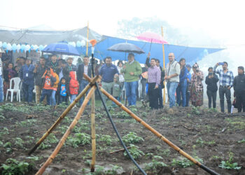 El desarrollo agrícola recibe un impulso con la irrigación de más 800 hectáreas