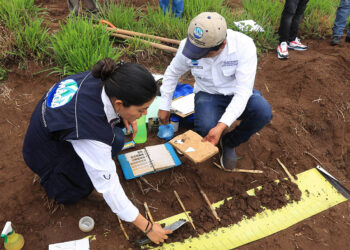El estudio de suelos