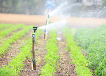 El riego por aspersión simula la lluvia