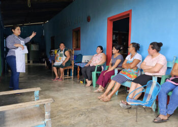 En Petén promueven el consumo de plantas nativas