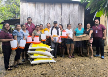 Entregan pollos de engorde a 128 granjas en Petén