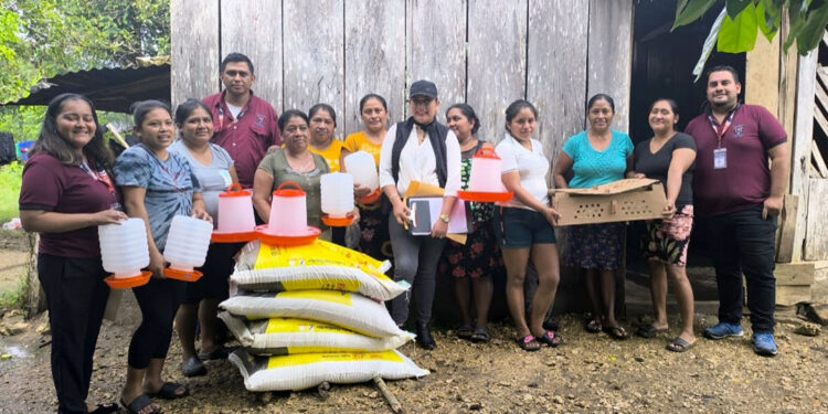 Entregan pollos de engorde a 128 granjas en Petén