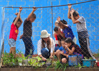 Entregan y siembran pilones de hortalizas para huertos escolares