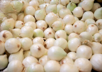 Estas son algunas propiedades y beneficios de la cebolla