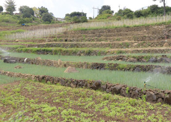 Estas son técnicas que permiten el cuidado del suelo