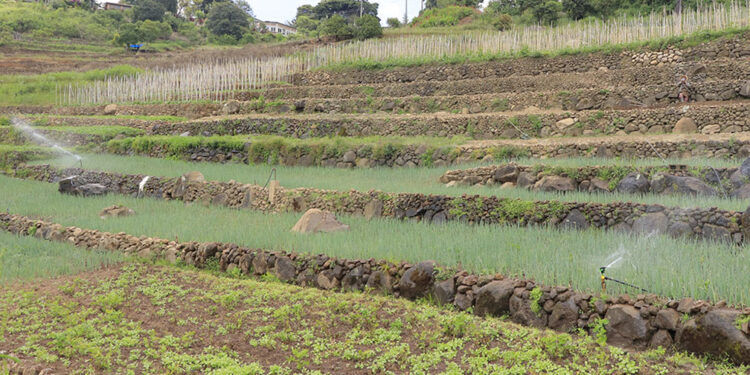 Estas son técnicas que permiten el cuidado del suelo