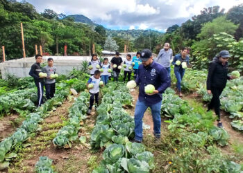 Estudiantes de la Telesecundaria El Tabacal celebran su primera cosecha