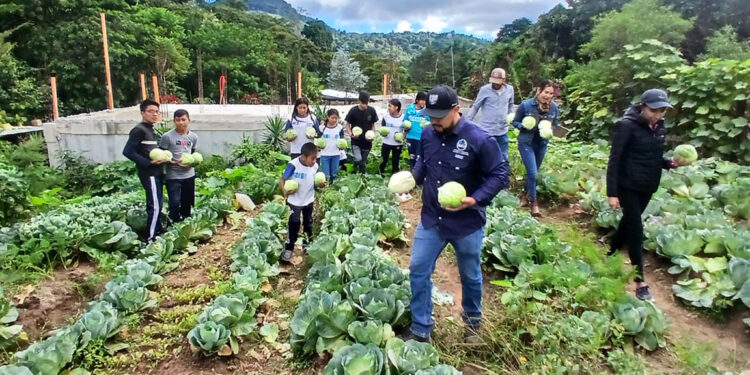 Estudiantes de la Telesecundaria El Tabacal celebran su primera cosecha