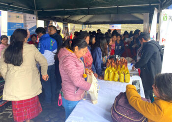 Feria del Agricultor ayuda a la economía de pobladores de Quiché y Suchitepéquez