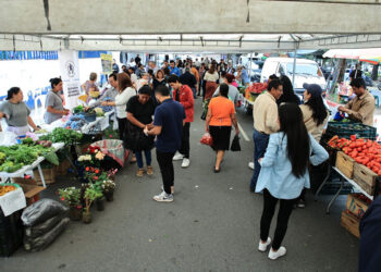 Las 81 ediciones de la Feria del Agricultor favorecen a 3 mil productoras y productores