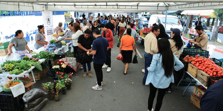 Las 81 ediciones de la Feria del Agricultor favorecen a 3 mil productoras y productores