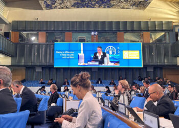 Guatemala presenta avances en la 52ª Sesión Plenaria del Comité de Seguridad Alimentaria Mundial