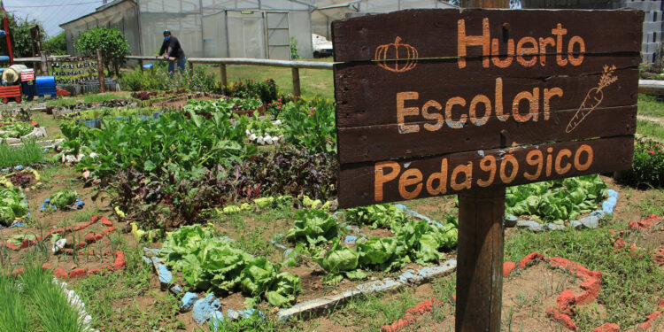 Huertos Escolares