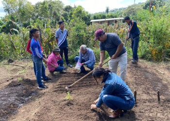 Impulsan huerto escolar en caserío La Ciénega, Jalapa