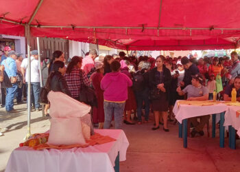 Inician entregas de Alimentos por Acciones a familias de Granados