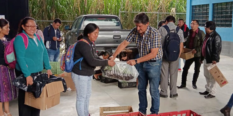 Jornada de capacitación y entrega de hortalizas para implementar huertos