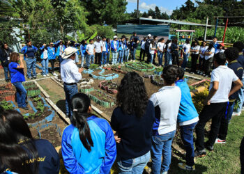 Jóvenes sembrando el futuro, agricultura familiar para alimentar el futuro