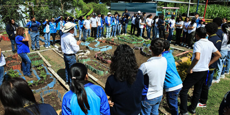Jóvenes sembrando el futuro, agricultura familiar para alimentar el futuro