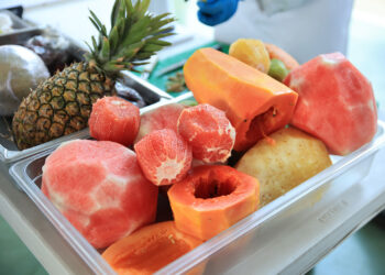 La fruticultura es un pilar para el desarrollo rural