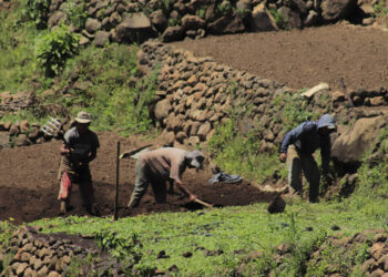 La conservación de suelos