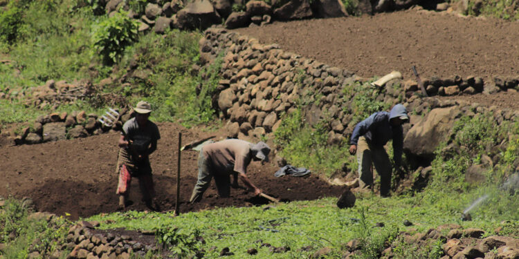 La conservación de suelos