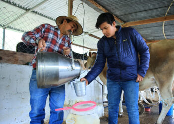 La leche es un alimento fuente de calcio