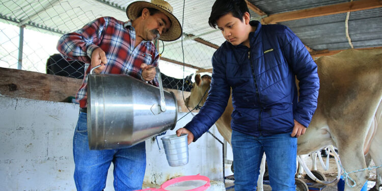 La leche es un alimento fuente de calcio