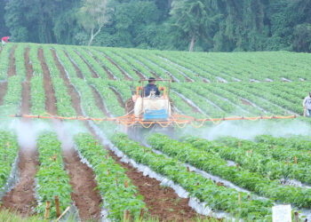 La tecnología y la maquinaria favorecen el trabajo agrícola